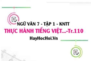 Soạn bài Thực hành tiếng Việt trang 110 Ngữ văn lớp 7 Kết nối tri thức tập 1